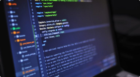 Por Que Um Software Customizado?